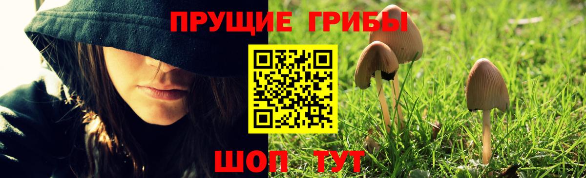 Псилоцибиновые грибы мухоморы  Вход с VPN  Курган 